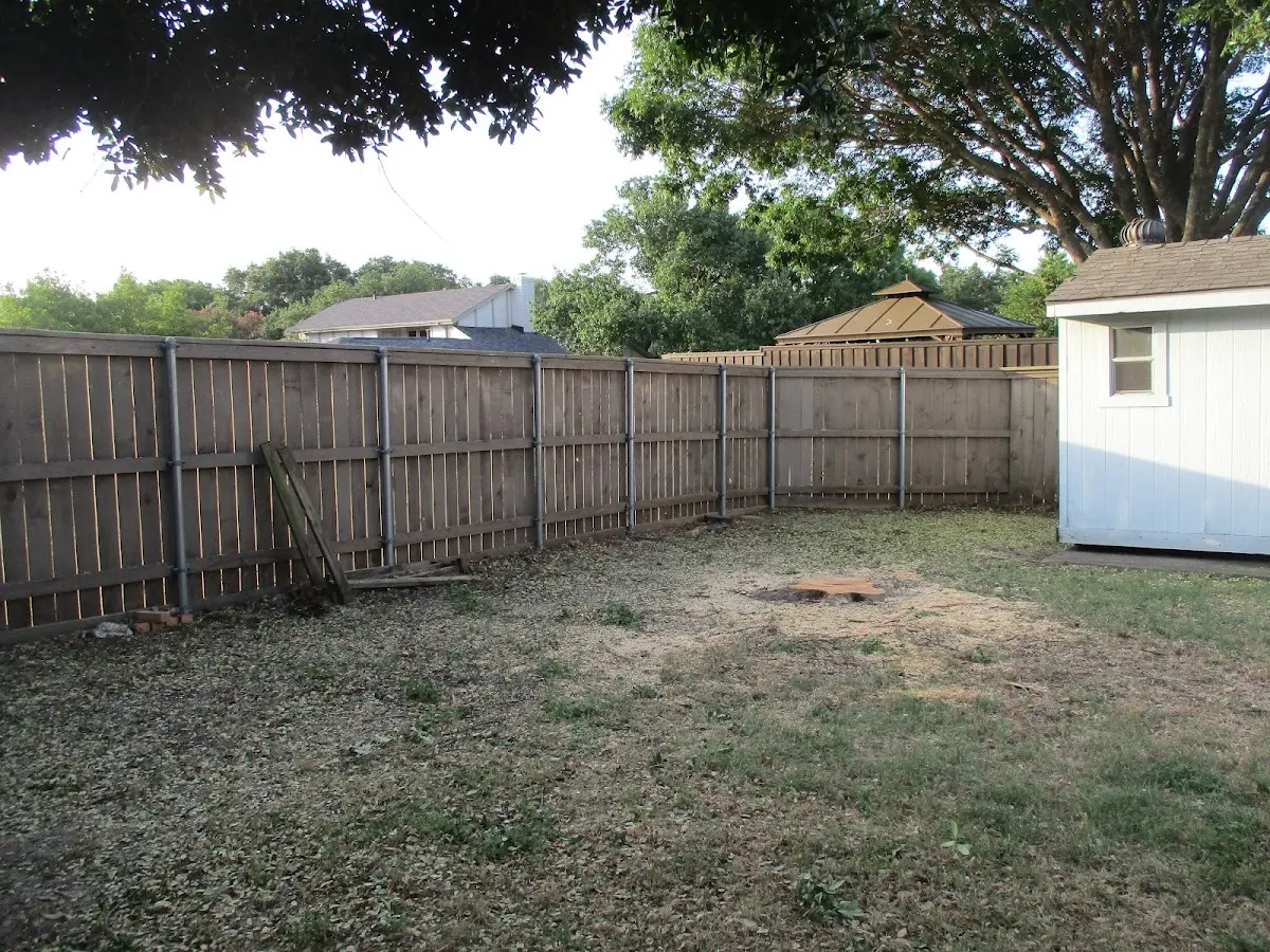 Cleared yard after professional tree removal in Lake Dallas